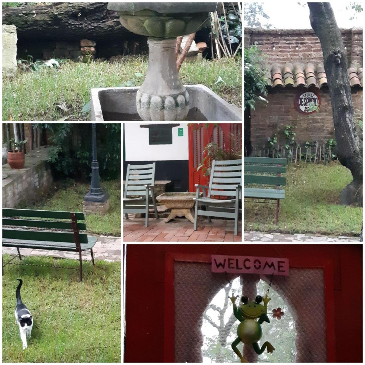 Hostel Cedron *